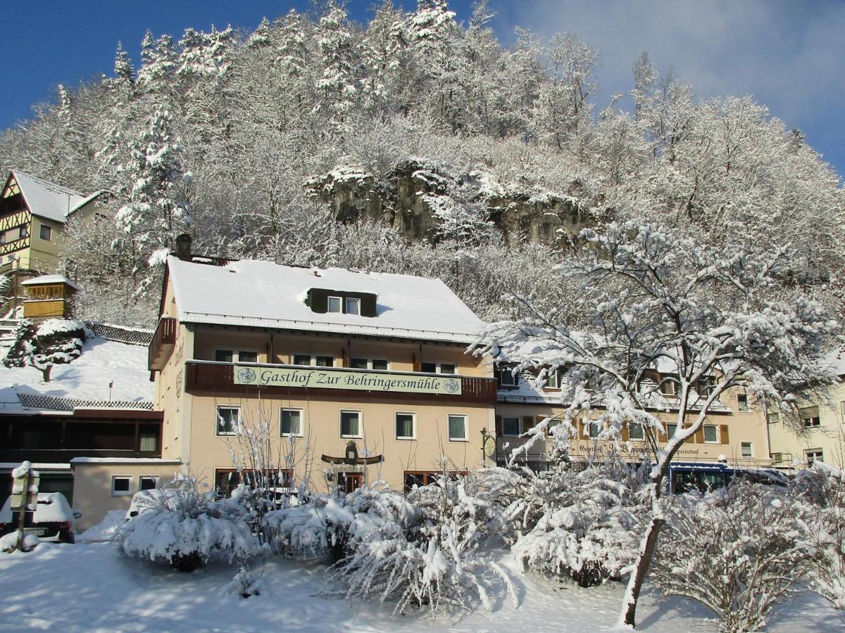Gasthof Zur Behringersmuhle Otel Goessweinstein Dış mekan fotoğraf